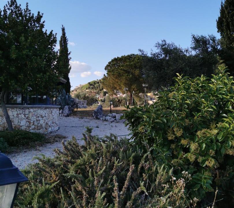 Photo of Others in Guidonia Montecelio