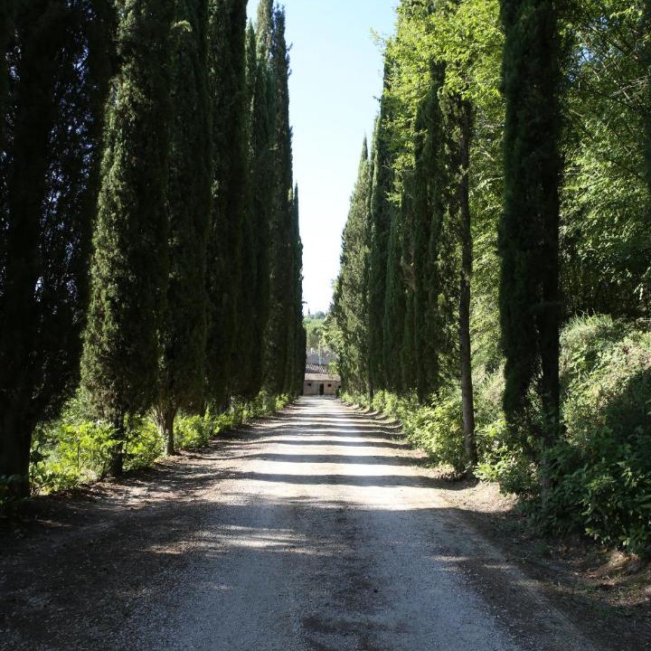 Photo of Others in Mugnano in Teverina