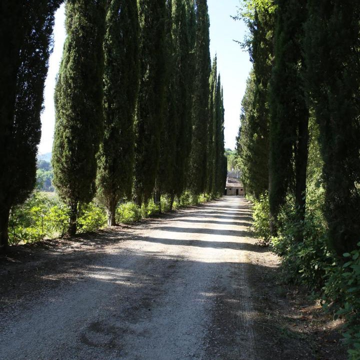 Photo of Others in Mugnano in Teverina