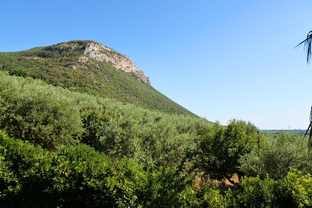 Photo of Others in Terracina