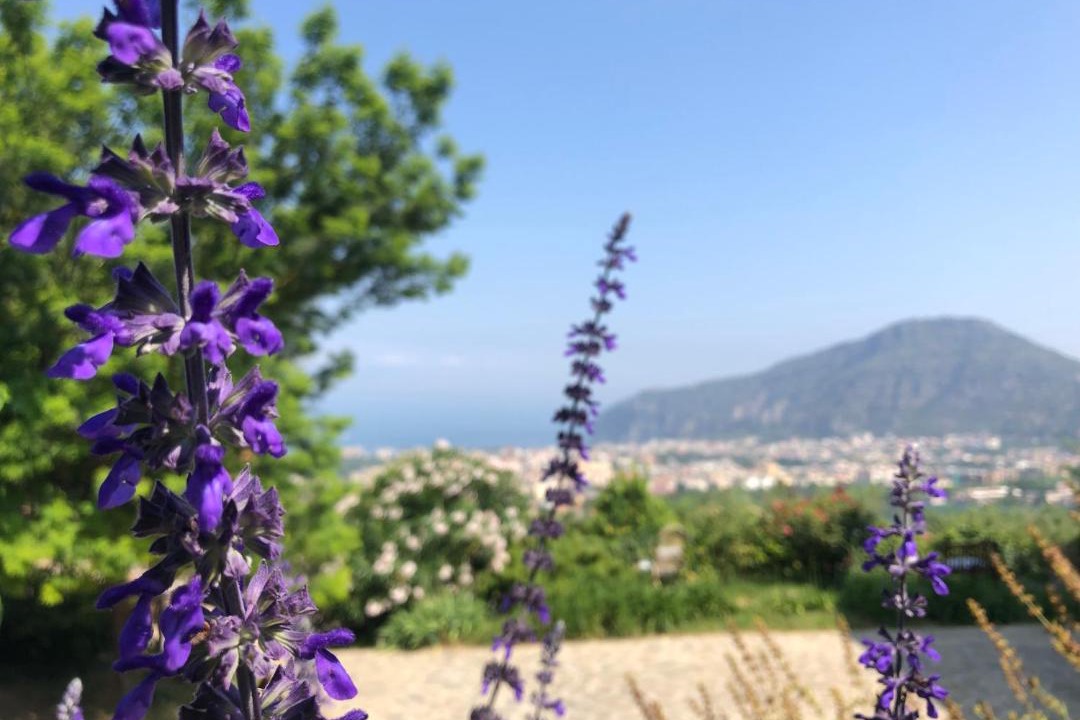 Photo of Others in Piano di Sorrento