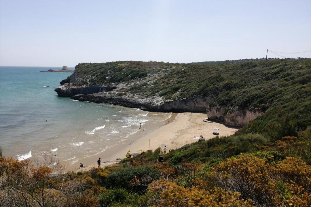 Photo of Others in Vico del Gargano