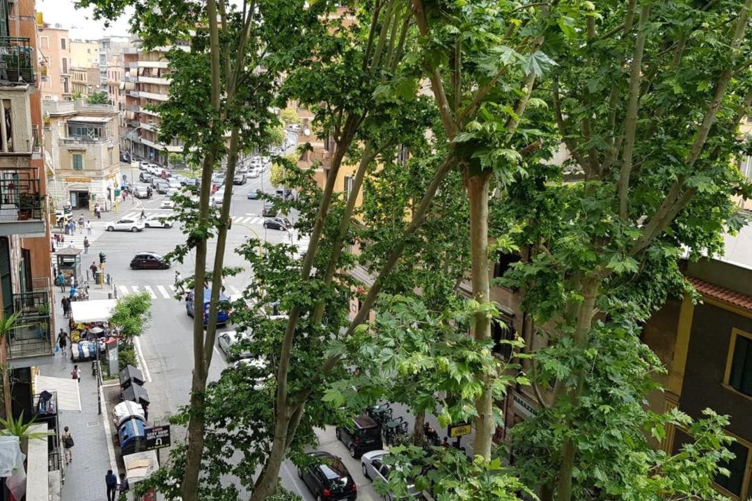 Photo of Others in Tuscolano