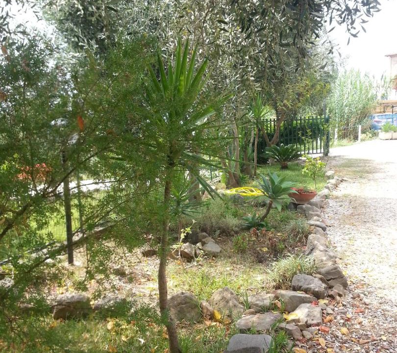 Photo of Outdoor in San Mauro Cilento