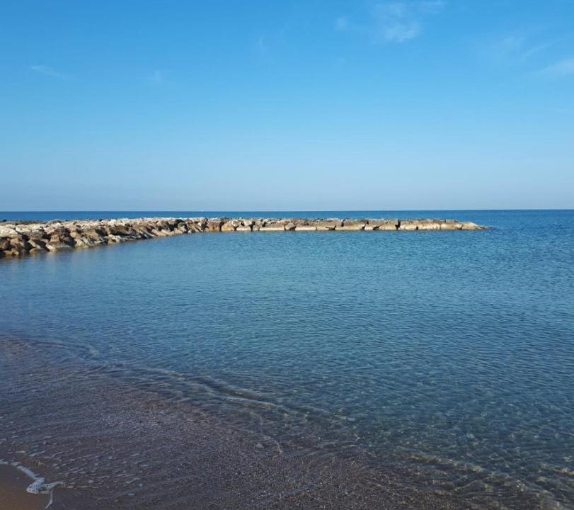 Photo of Others in Anzio