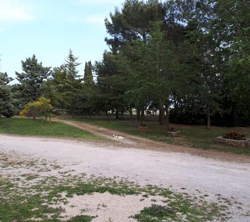 Photo of Others in Viglione