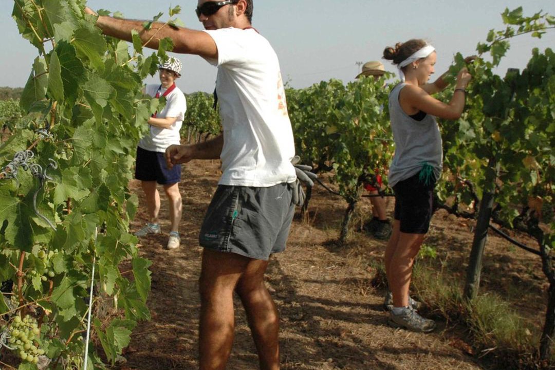 Photo of Human In Picture in Cerveteri