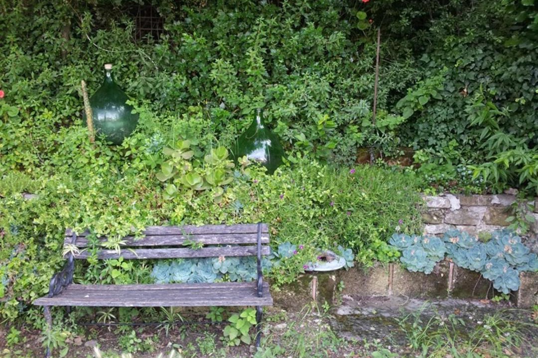 Photo of Others in Torchiara