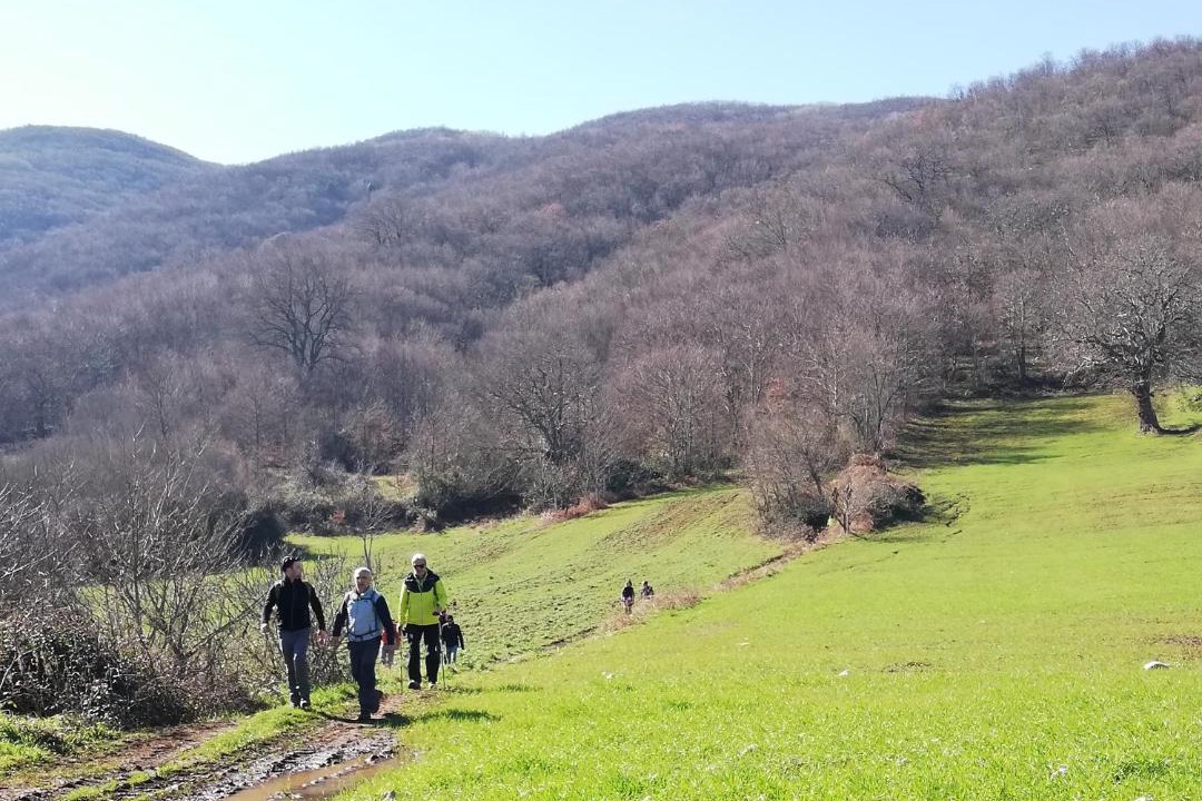 Photo of Others in San Nicandro Garganico