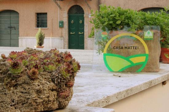 Photo of Others in Arrone