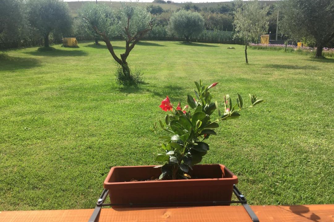 Photo of Others in Lake Bracciano