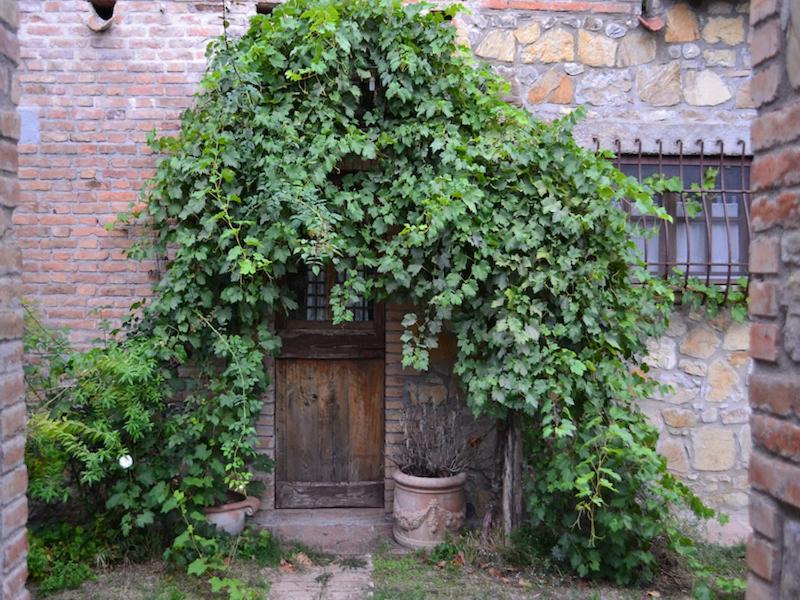 Photo of Others in Monteleone d'Orvieto
