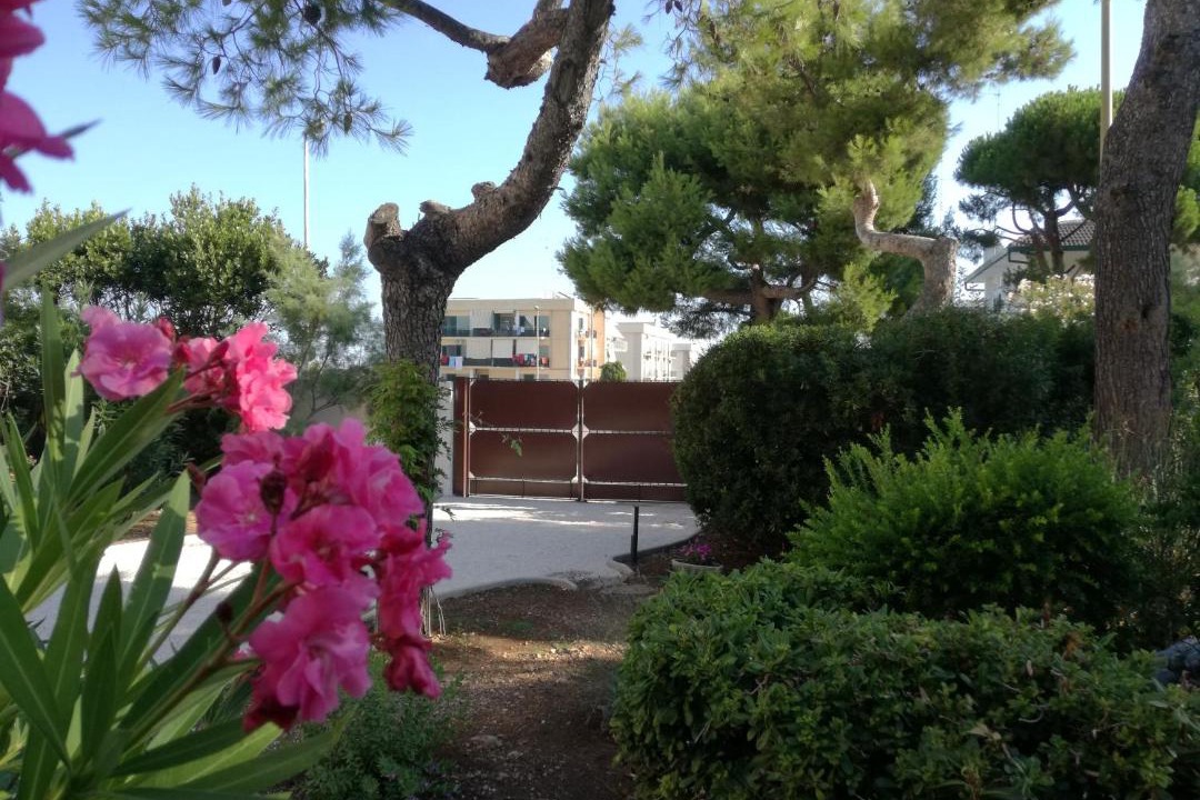 Photo of Others in Santo Spirito