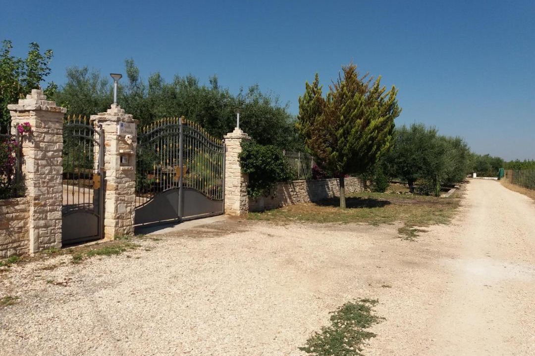 Photo of Others in Corato