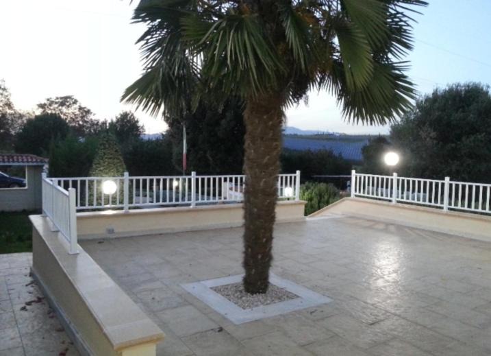 Photo of Others in Colleferro