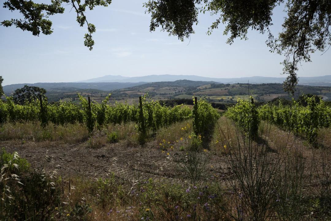 Photo of Others in Montorsaio