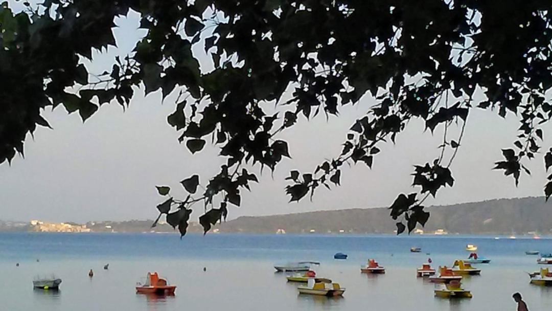Photo of Others in Lake Bracciano