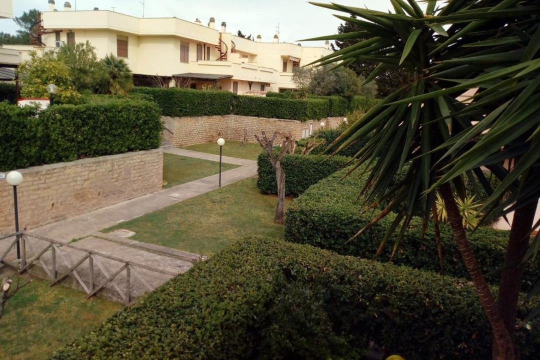 Photo of Others in Capalbio