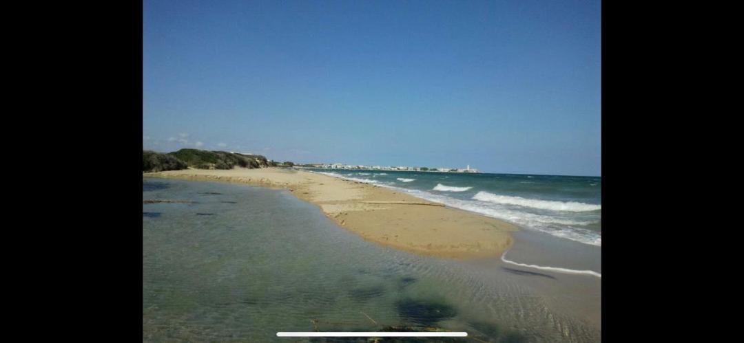 Photo of Others in Torre Canne