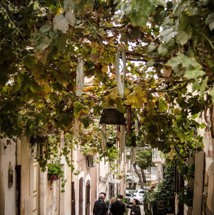 Photo of Others in Canosa di Puglia