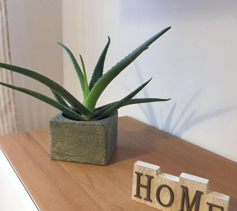 Photo of Others in San Giovanni