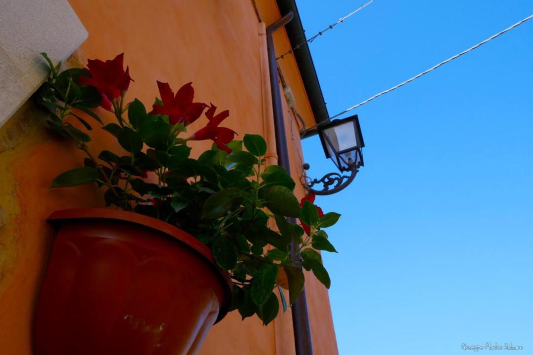 Photo of Others in Benevento