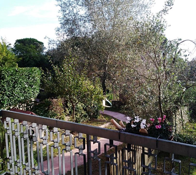 Photo of Others in Padua