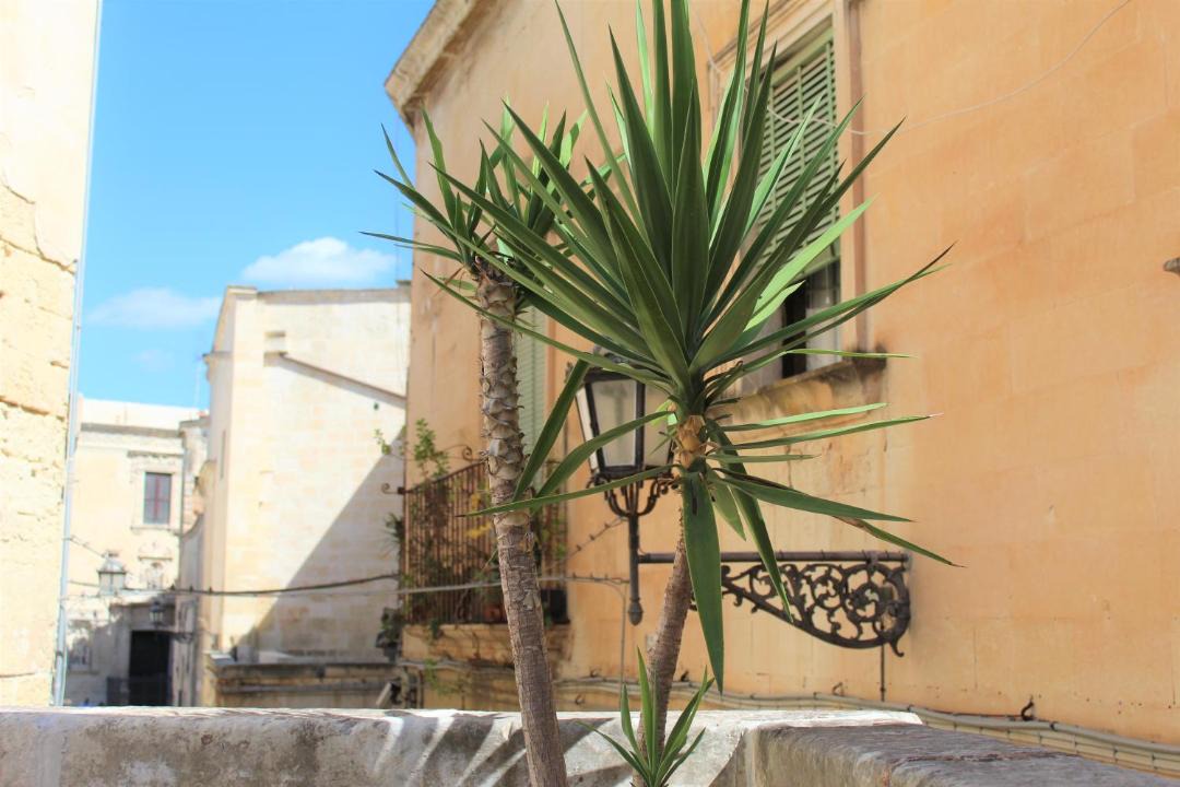 Photo of Others in Lecce Historic Center