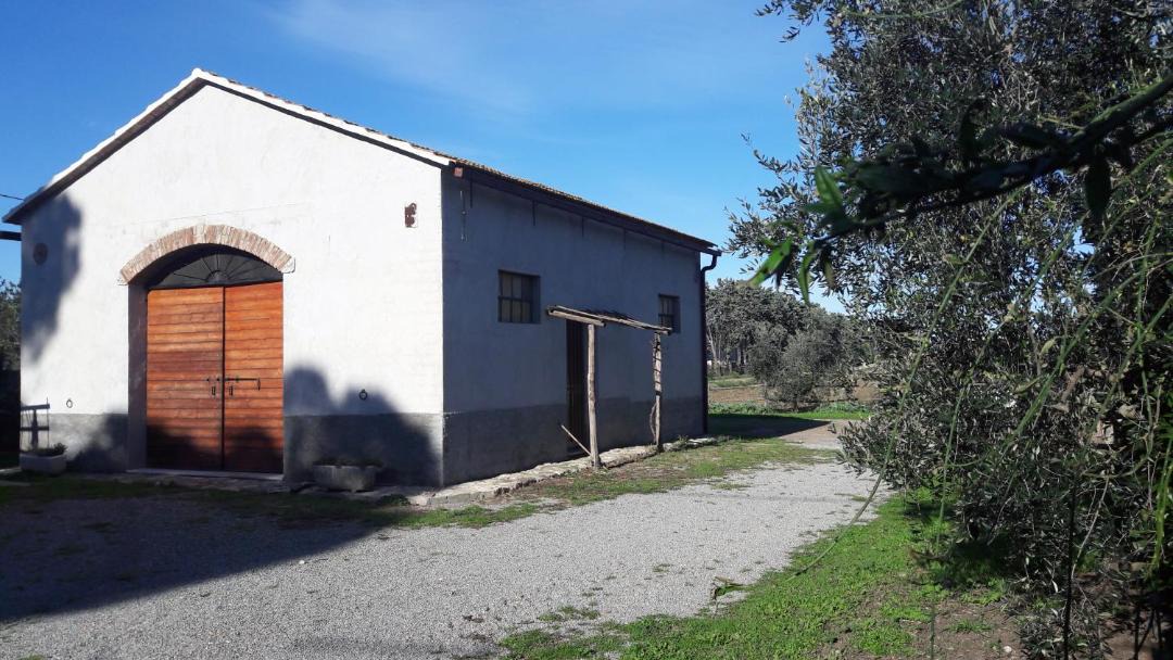 Photo of Others in Capalbio