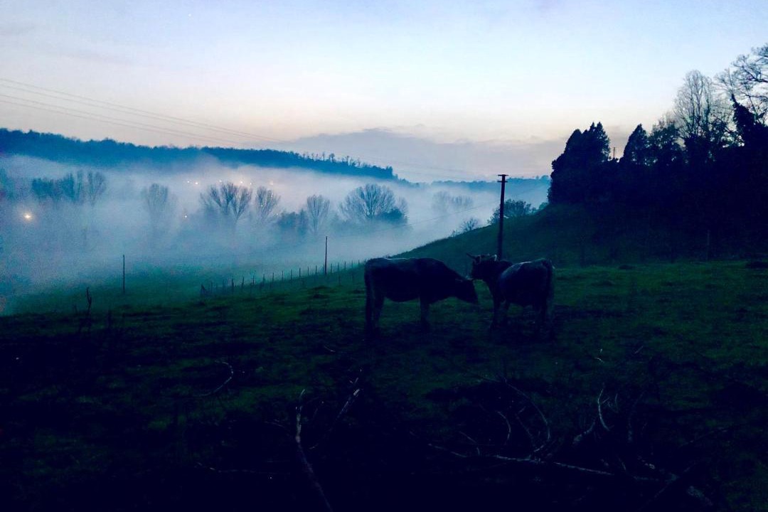 Photo of Others in Civita Castellana