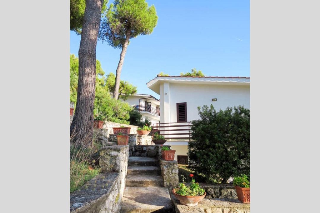 Photo of Others in Sperlonga