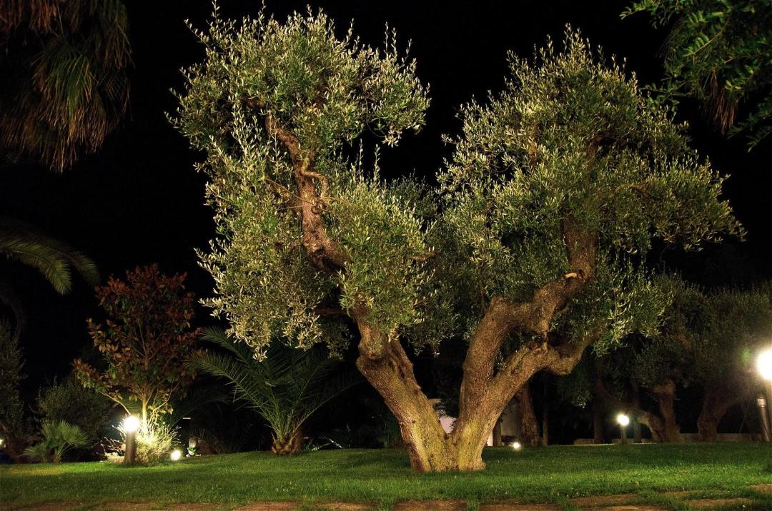 Photo of Others in Ostuni