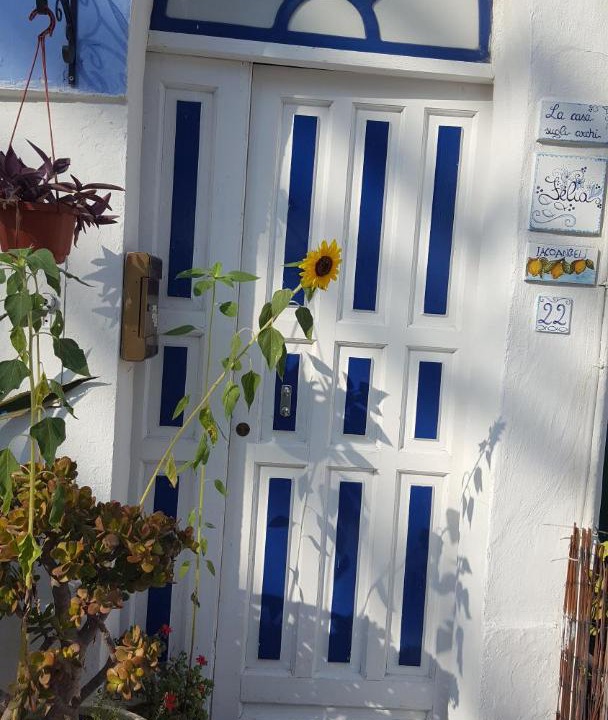 Photo of Others in Ponza