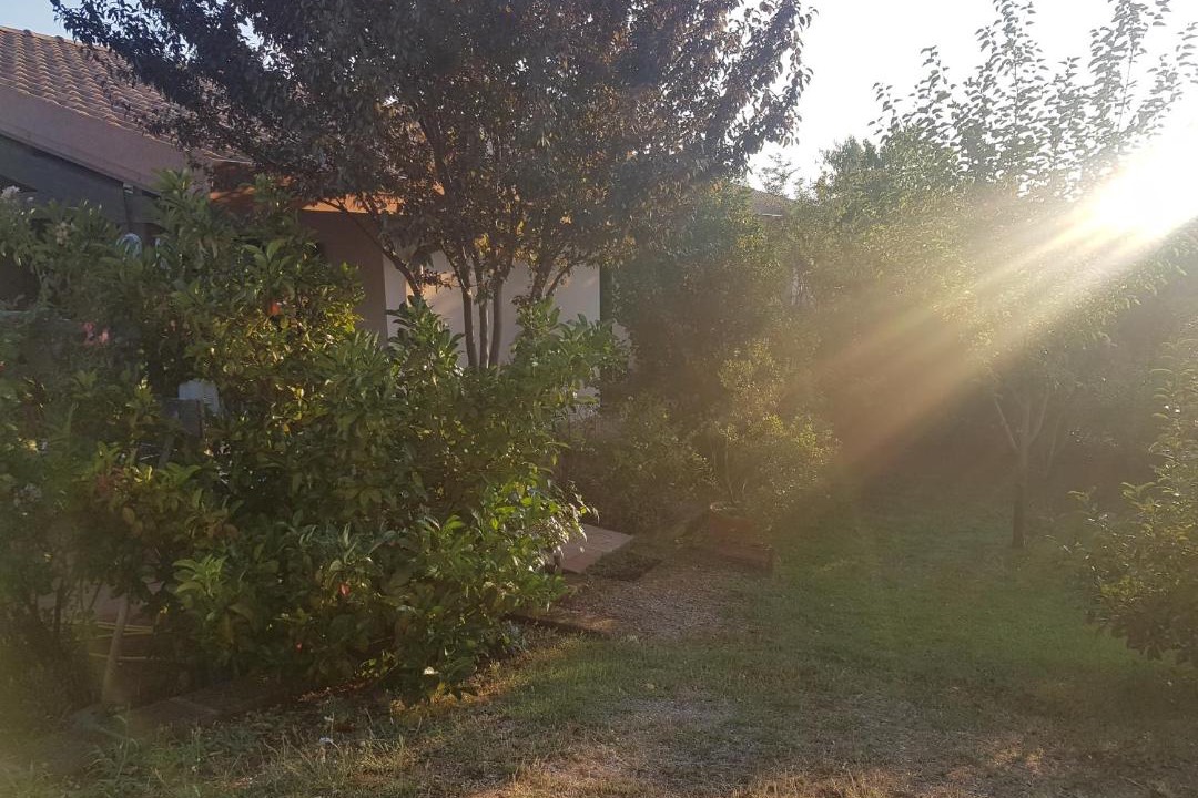 Photo of Others in Magliano in Toscana