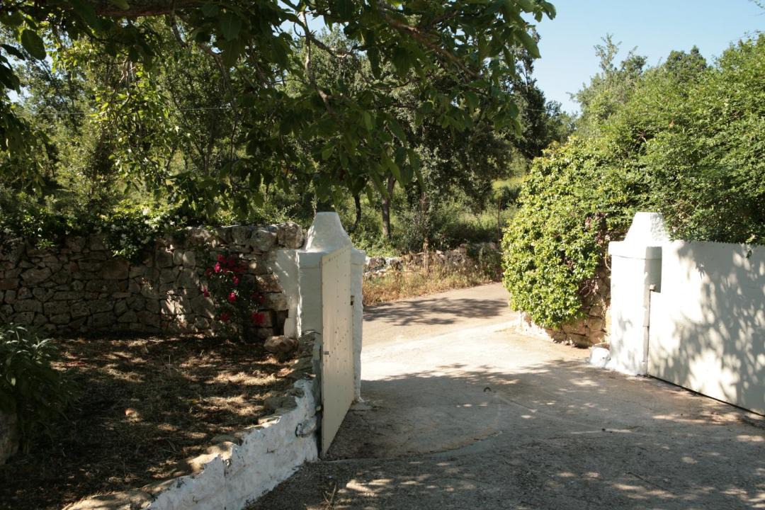 Photo of Others in Ostuni
