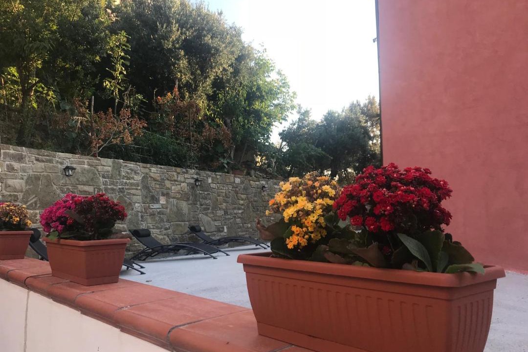 Photo of Others in San Mauro Cilento