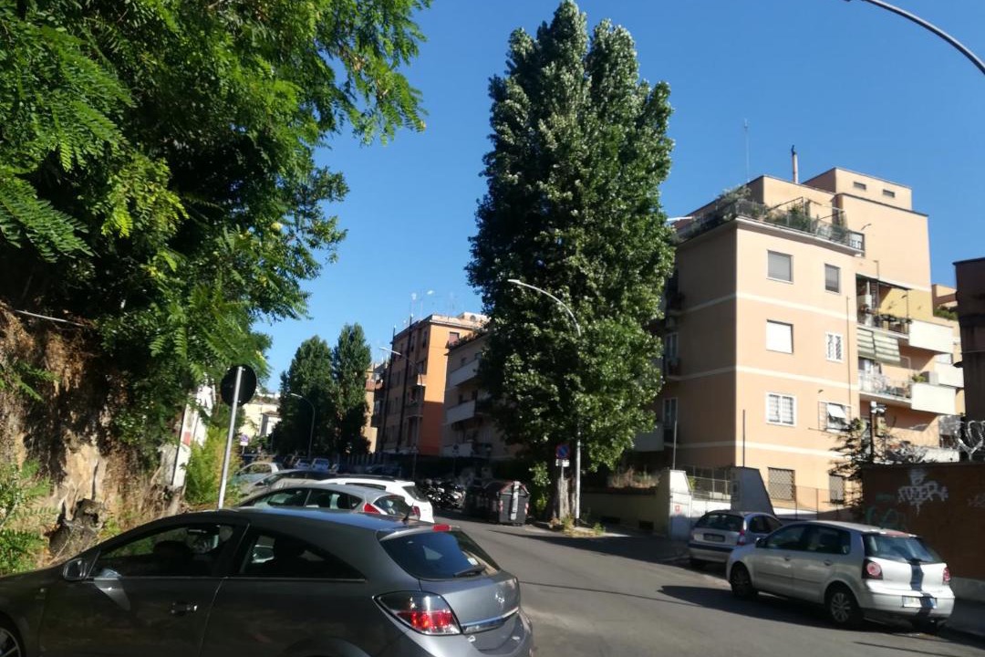 Photo of Others in Monte Sacro