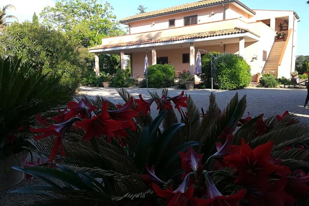 Photo of Others in Manciano