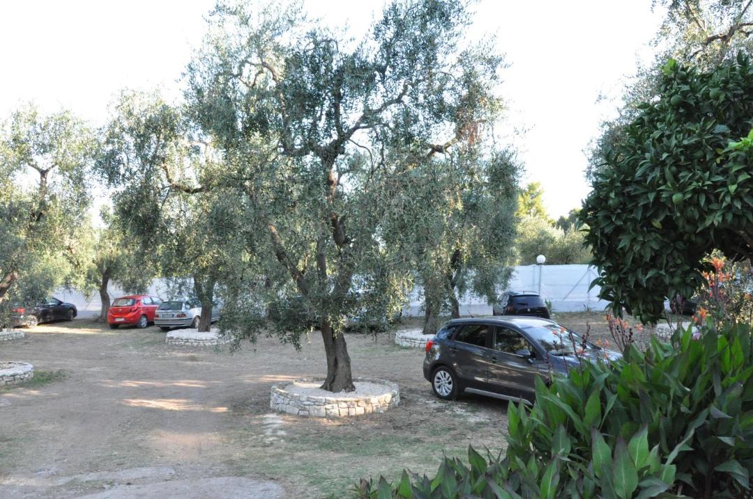 Photo of Others in Chiesiola