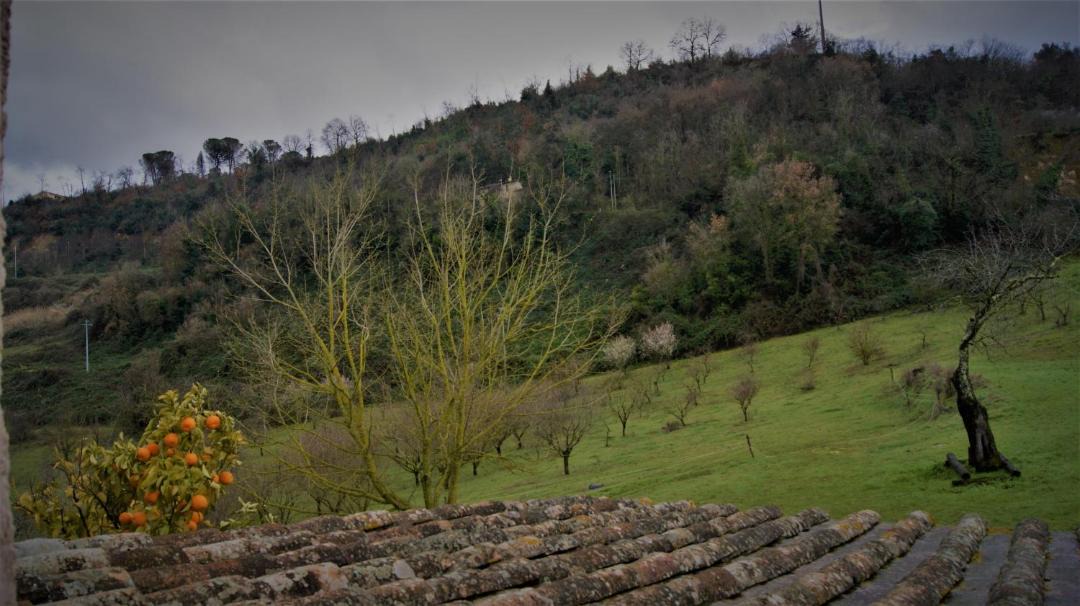 Photo of Others in Ponzano Romano