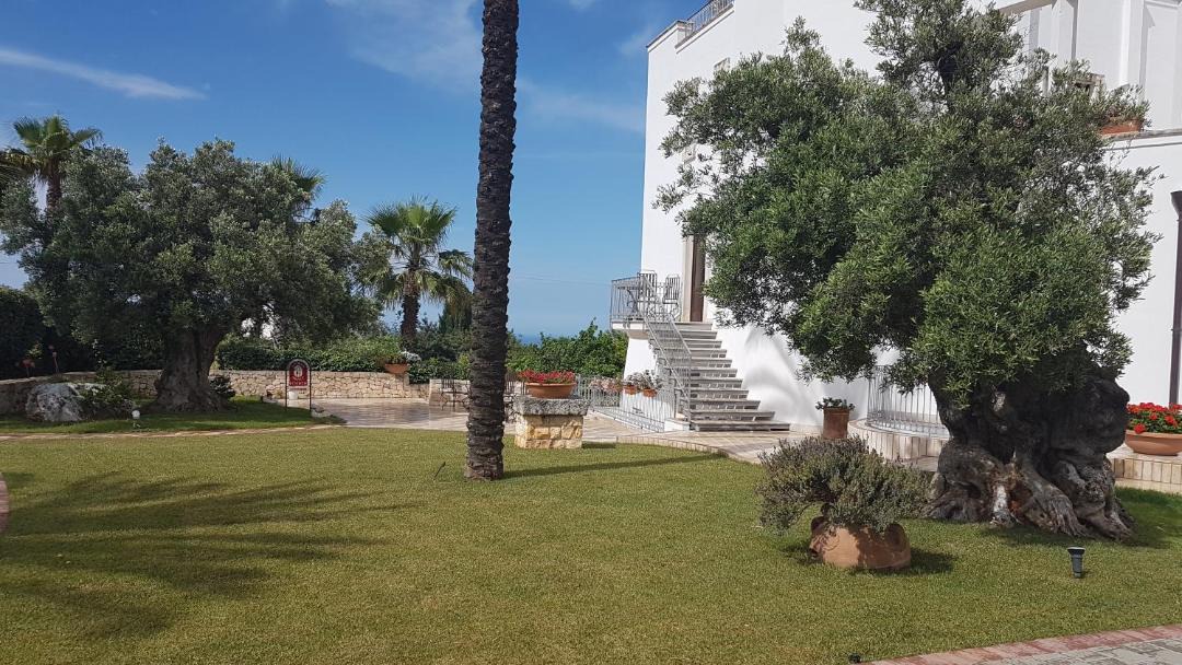 Photo of Others in Ostuni