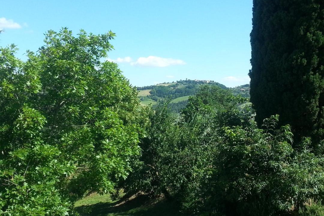 Photo of Others in Il Poggio