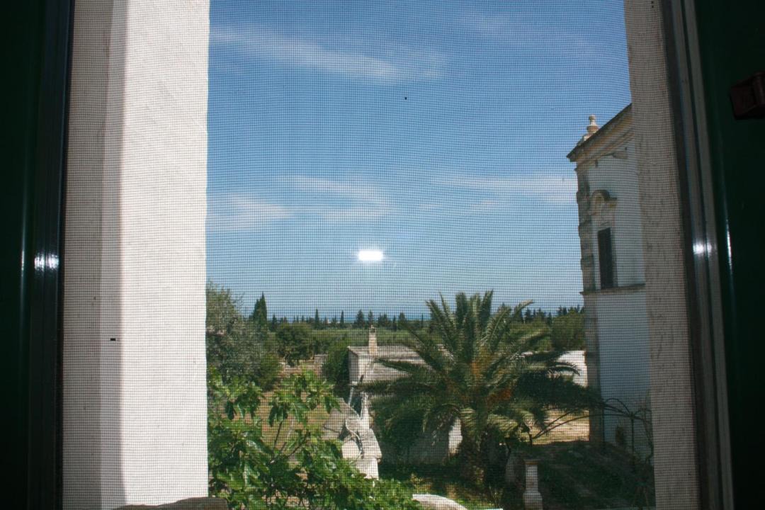 Photo of Others in Fasano