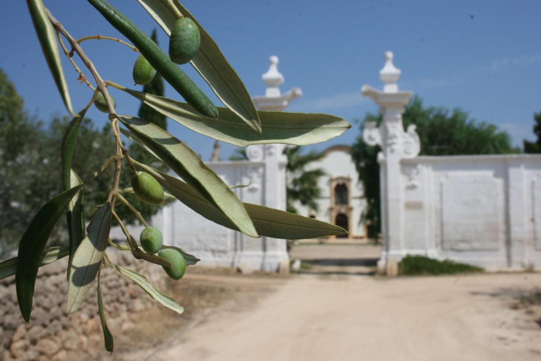 Photo of Others in Fasano
