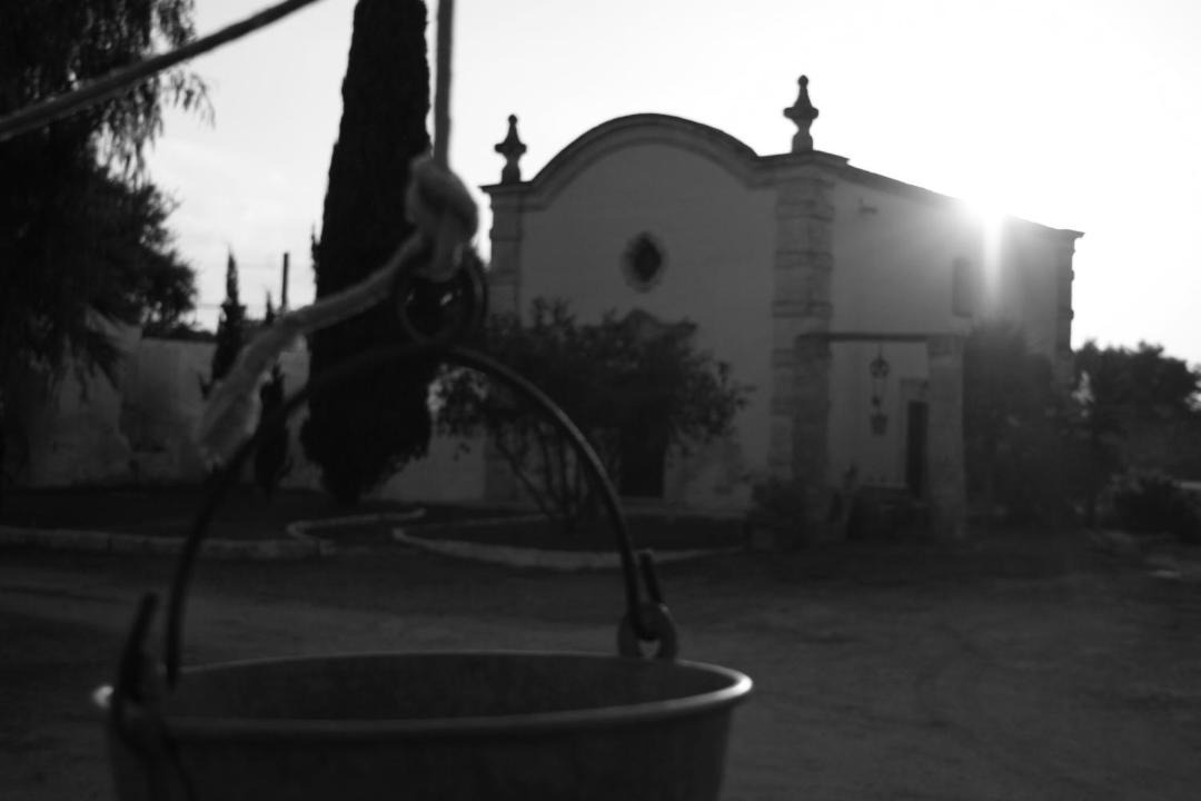 Photo of Others in Fasano