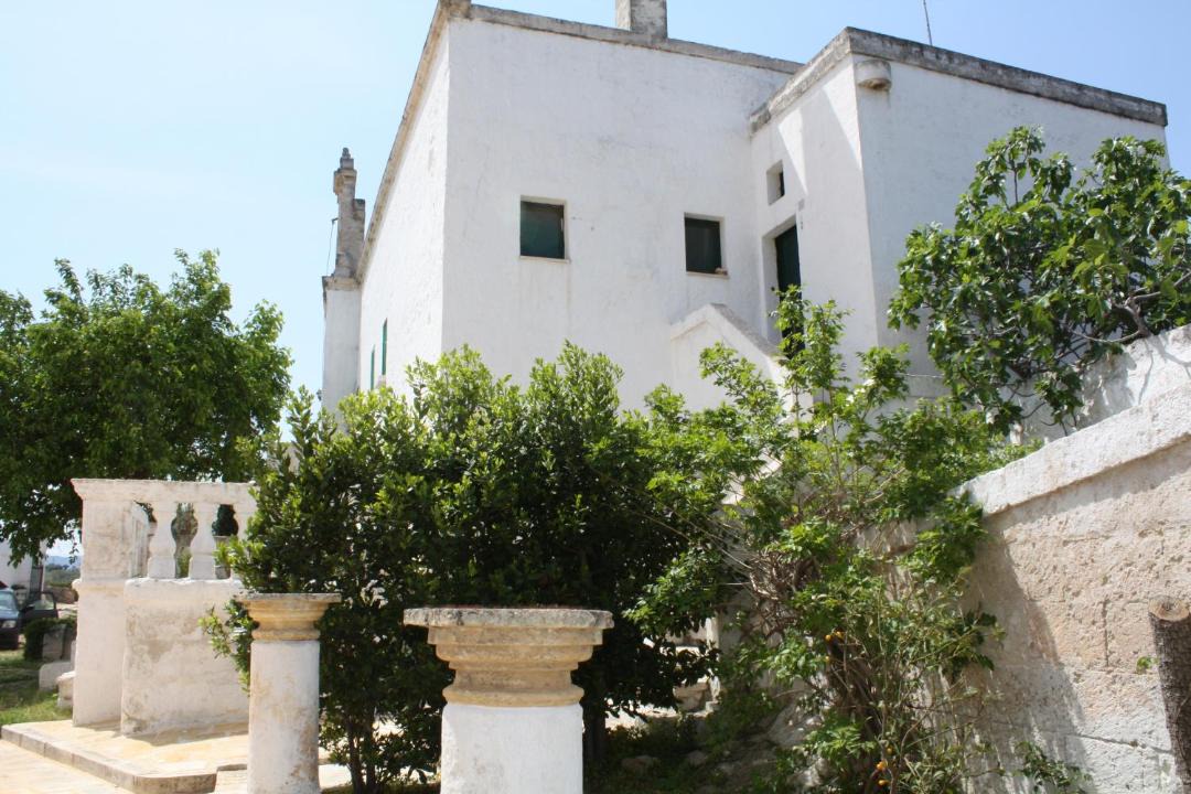 Photo of Others in Fasano