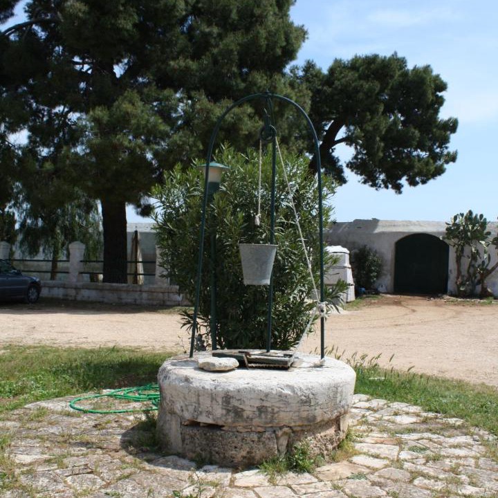 Photo of Others in Fasano