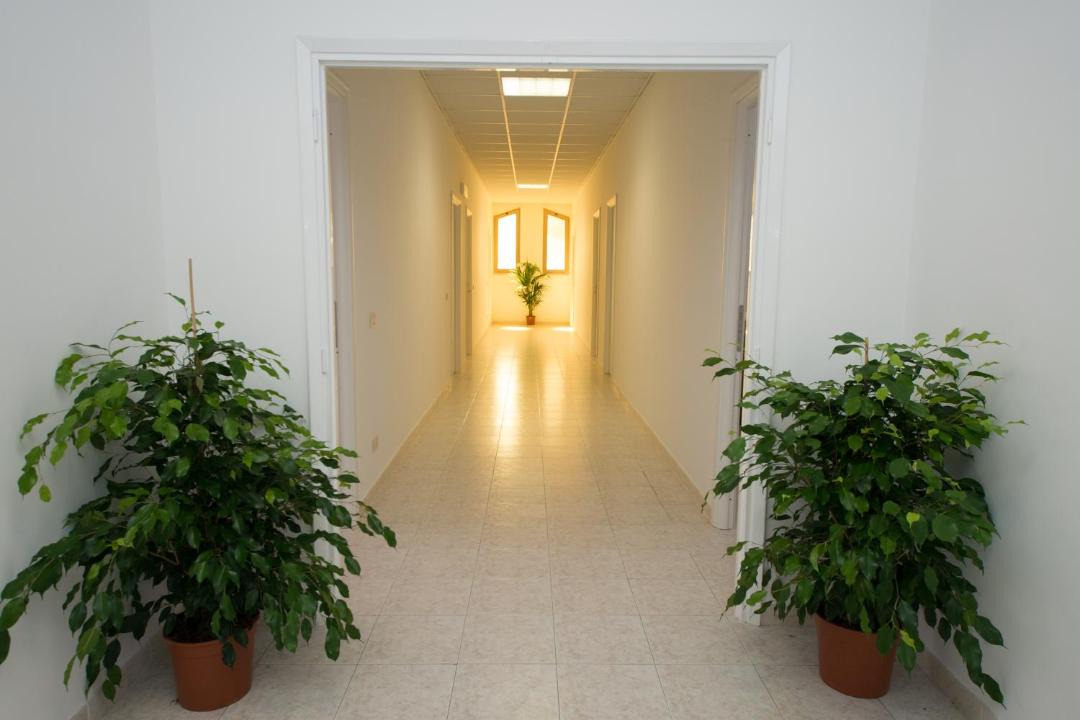 Photo of Others in Anzio