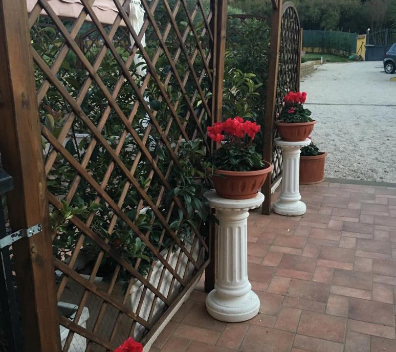 Photo of Others in Lake Bracciano