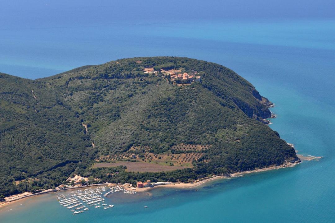 Photo of Others in Populonia